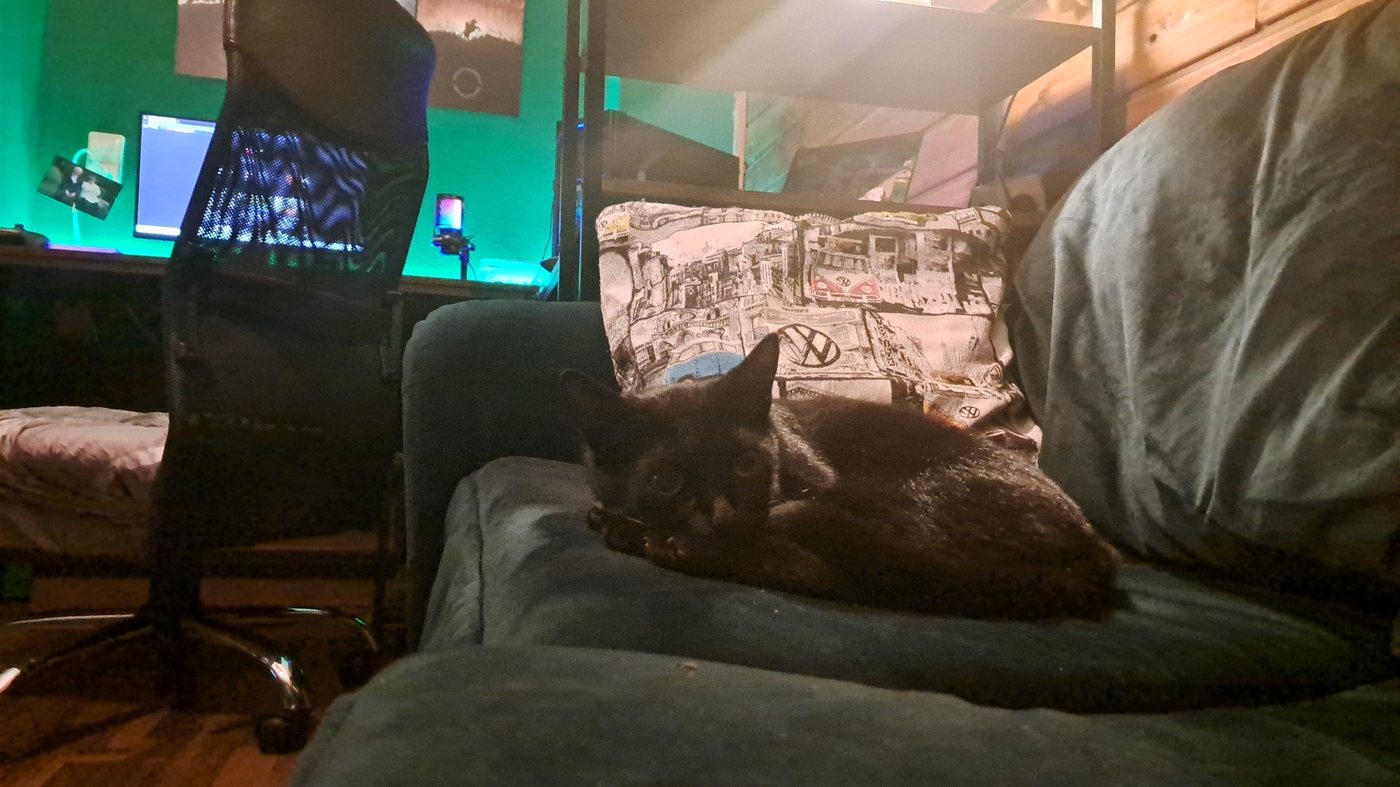 Panda sitzt auf dem Holzboden und schaut in die Kamera